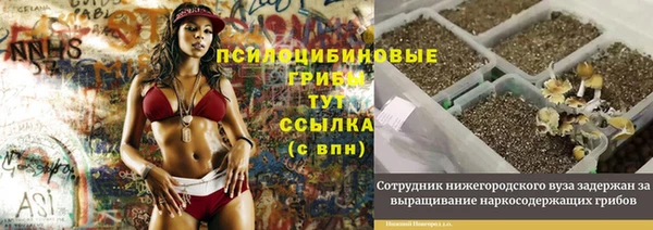 сатива Абдулино