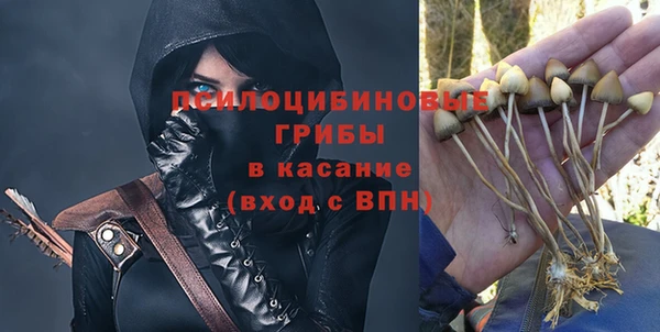 сатива Абдулино