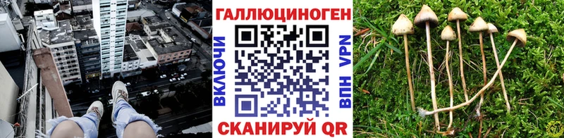 Псилоцибиновые грибы MAGIC MUSHROOMS  площадка официальный сайт  Карталы 